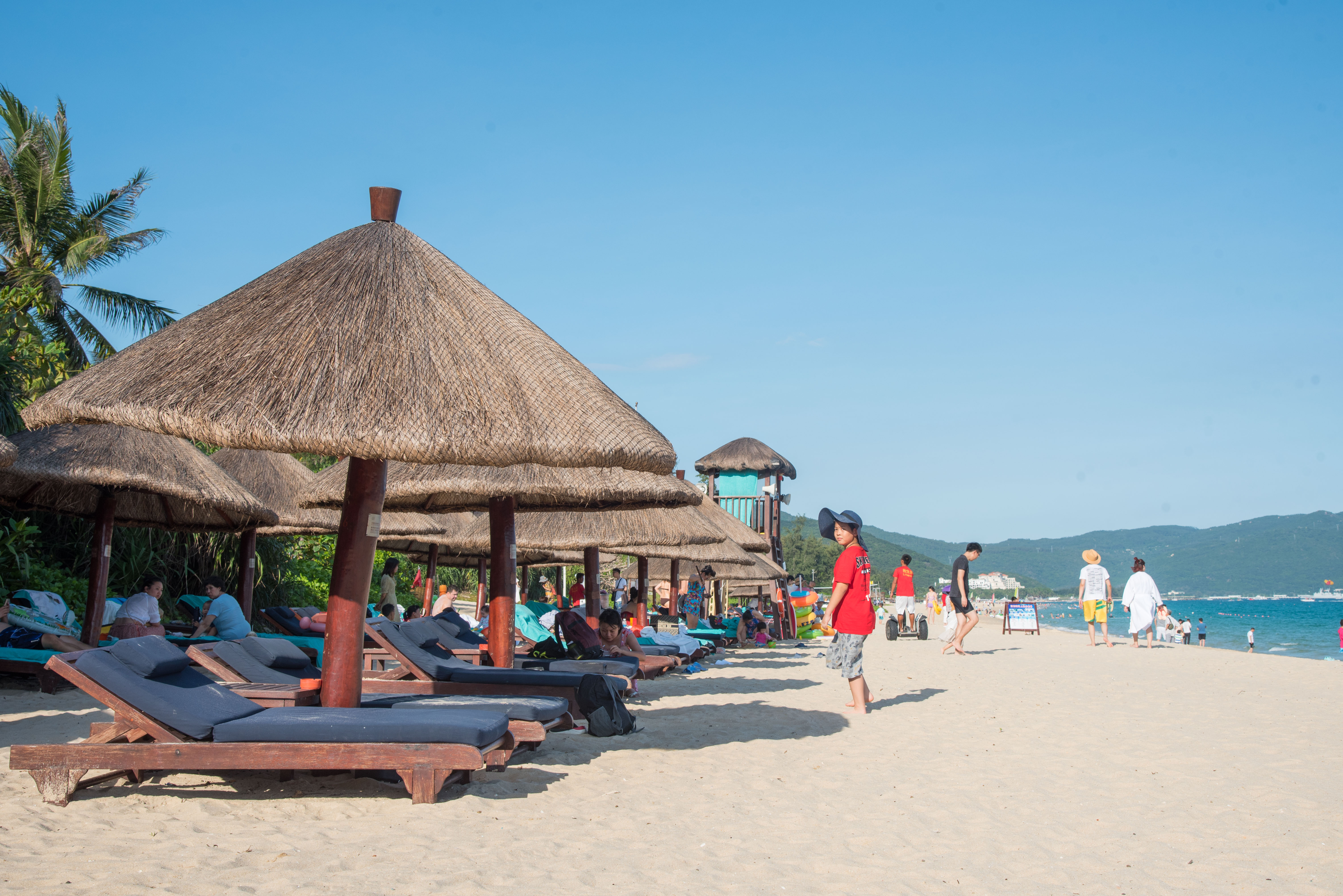 鍍忚櫕瀛愪竴鏍风殑娴烽矞,鍗楁柟浜烘暍鍚冨寳鏂逛汉涓嶆暍鍚冪殑娴烽矞