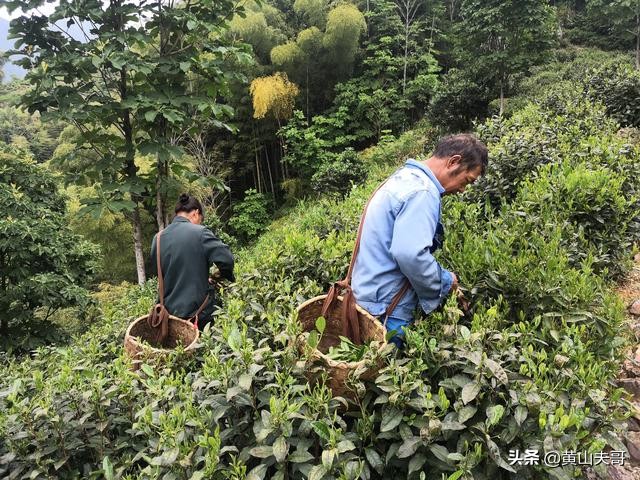黄山最吓人景区,黄山爬山最吓人的地方