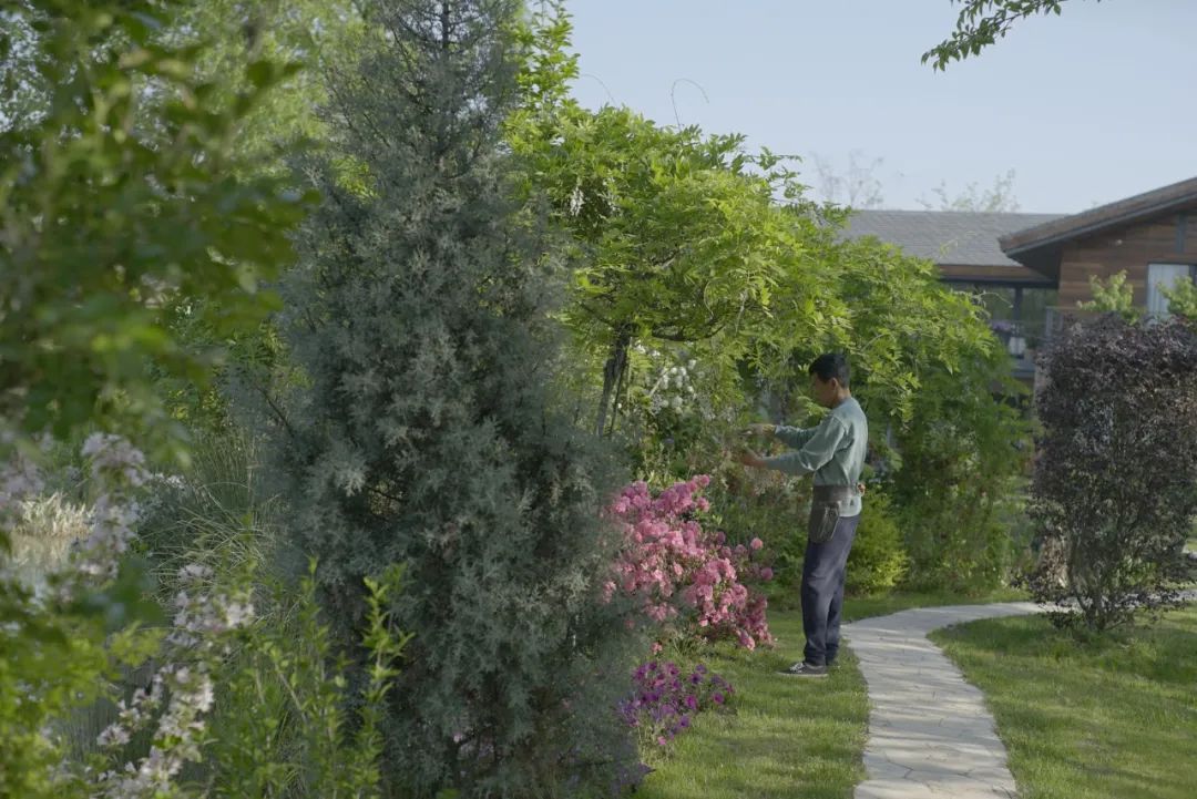 腾讯高管辞职隐居,腾讯元老隐居合肥