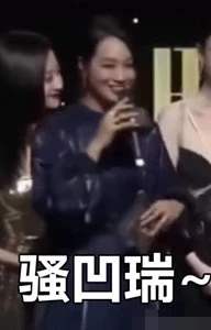 主持一姐的朱丹人气为啥跌入谷底,朱丹曾经有多辉煌