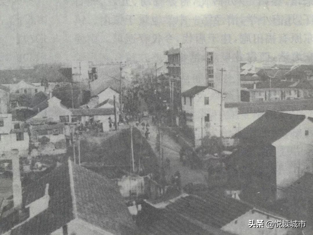 金秋赏“金”：新老照片对比金山发展老金山都不一定认得全