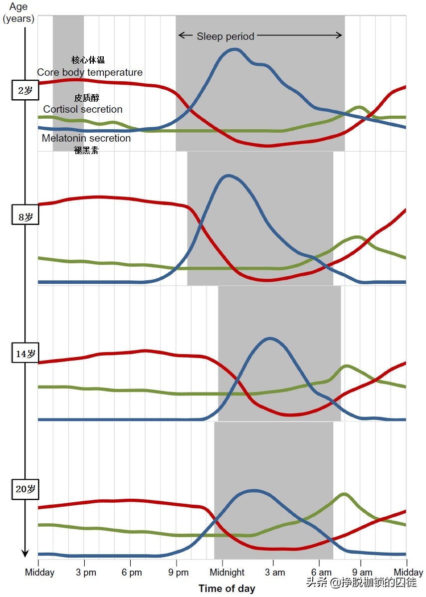 中学生为什么都会染上“晚上不睡早上不起”的不良习惯?