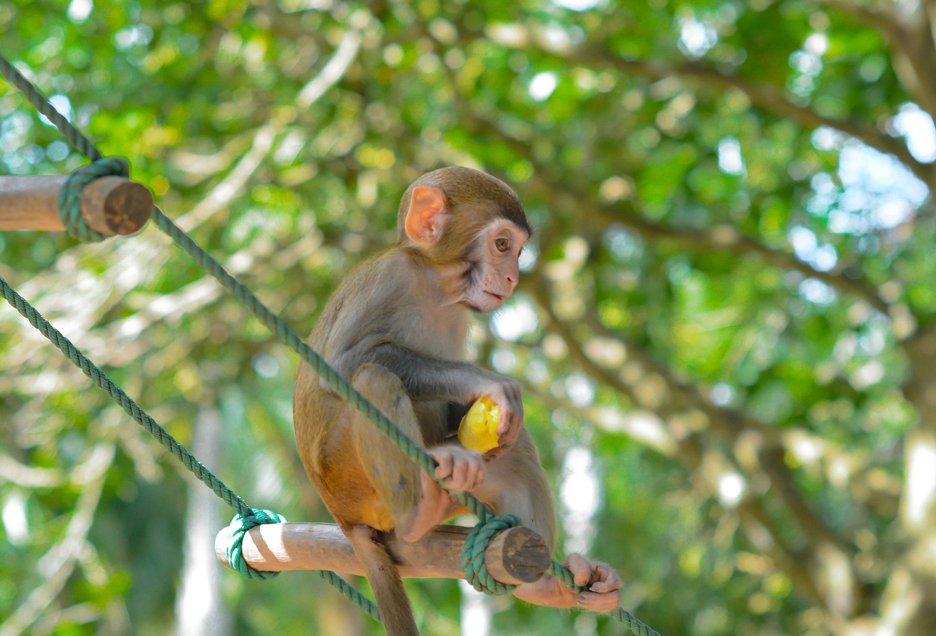你在南方瑟瑟发抖，我在这里遛娃、看猴、赶海····