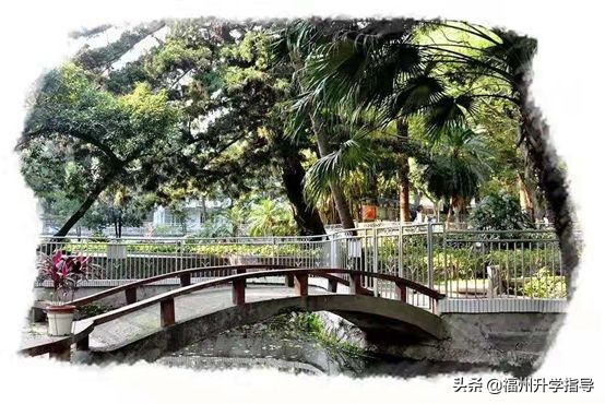 福州私立中学近三年升学率,福州私立初中一三附升学率排名