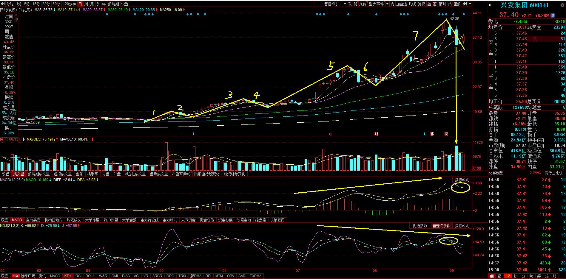 兴发集团600141,兴发集团600141下周行情如何