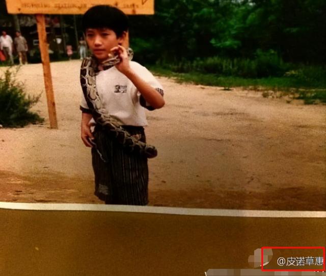 十月塌房日,十月塌房