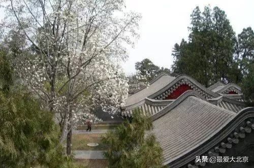 香山周末好去处,香山夏天去好玩吗