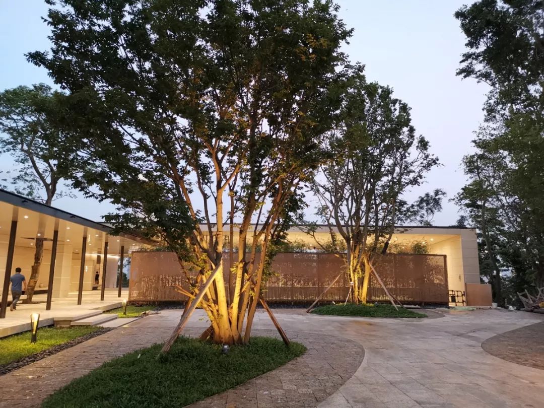 深圳，一个连拉屎都要发朋友圈的城市