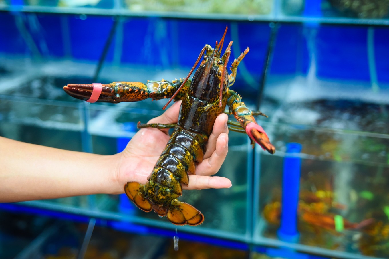 三亚旅游与美食攻略,三亚旅游攻略三亚美食