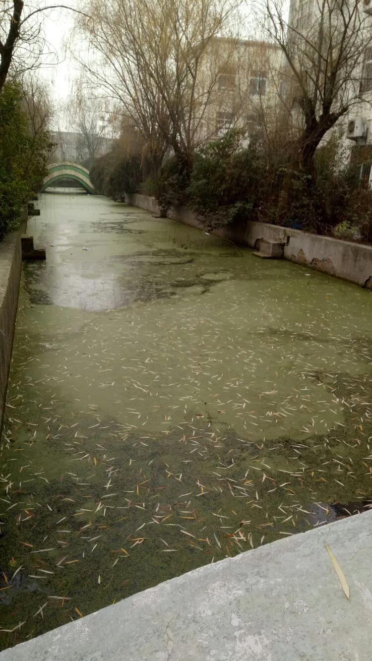 泗洪县城有几所中学,泗洪现在怎么样