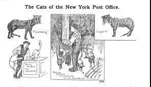 晚清末年，人们认为猫毛蓄电可以治病