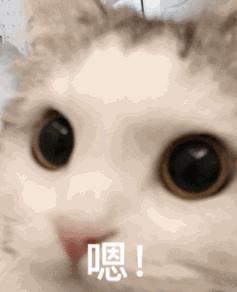 遂川交警深入驾校为开班新学员送上交通安全课！