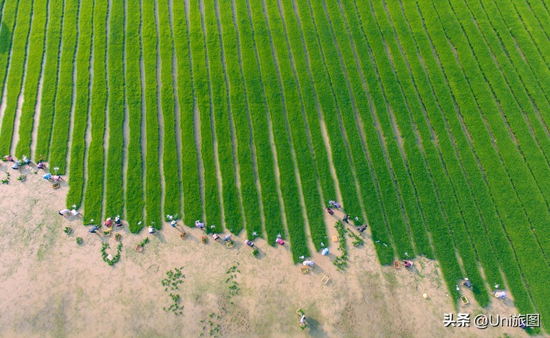 无人机航拍最佳拍摄地,四月美景航拍