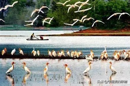 广西旅游壮美广西,下一站广西南宁完整版