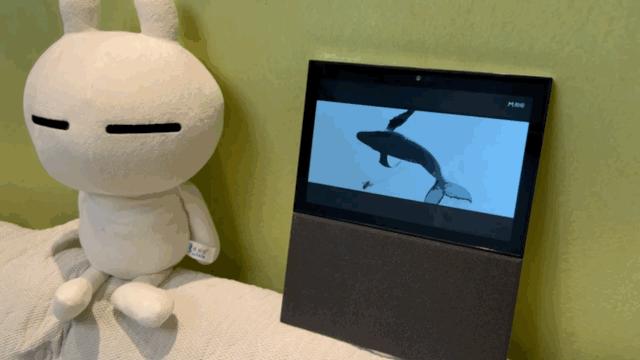 智能关怀视频通话卡顿,家庭智能看护视频通话