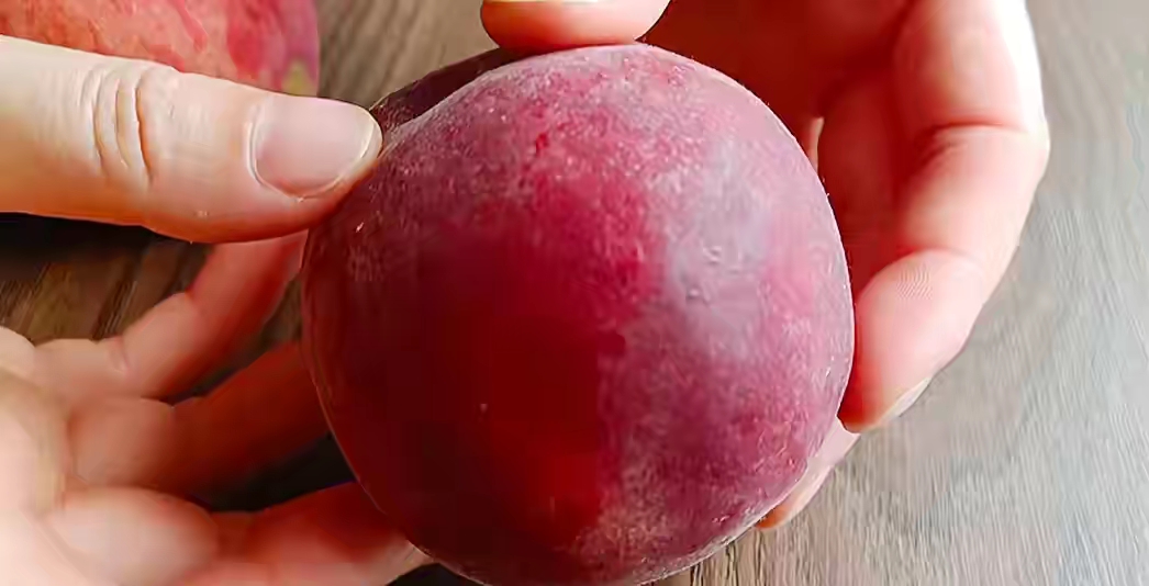 桃子甜不甜尝了才知道,桃子怎么挑才是最甜的桃