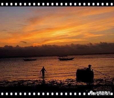 广东湛江本地海鲜海鱼,湛江海鲜鱼有哪些