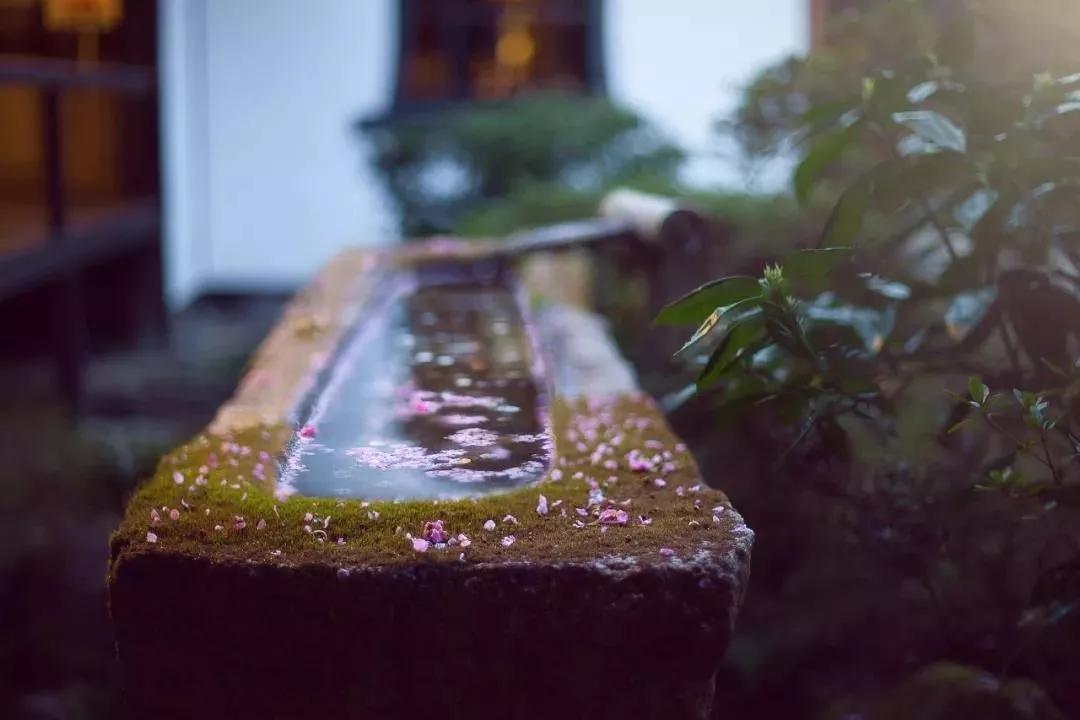 关于欲望醍醐灌顶的文章,欲望永无穷尽