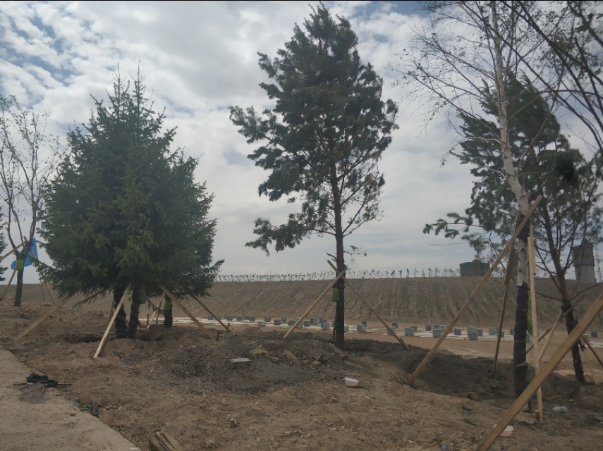 乌鲁木齐新建楼房,乌鲁木齐规划新建350米高楼