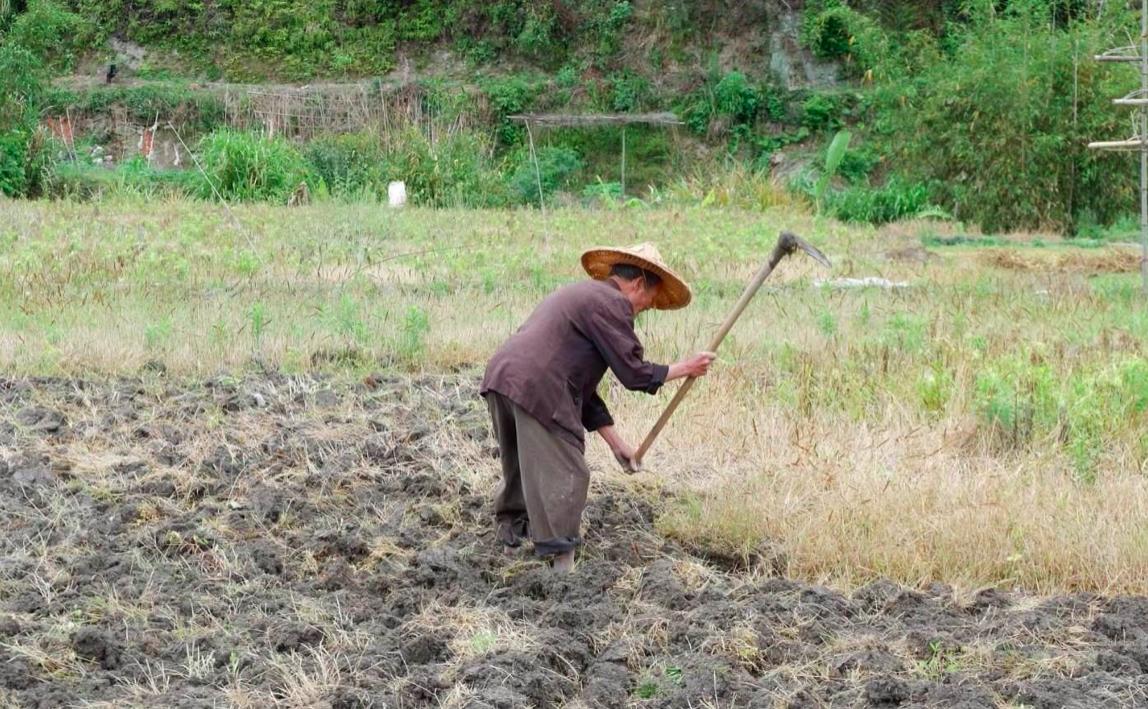 老话讲，“农村不作颠，街上不冒烟”，认识农村的重要性