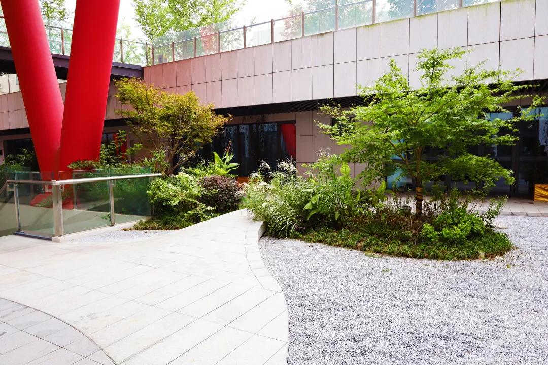 沪上“花园式”工地办公是怎样的体验？来看看这个白玉兰奖工程吧