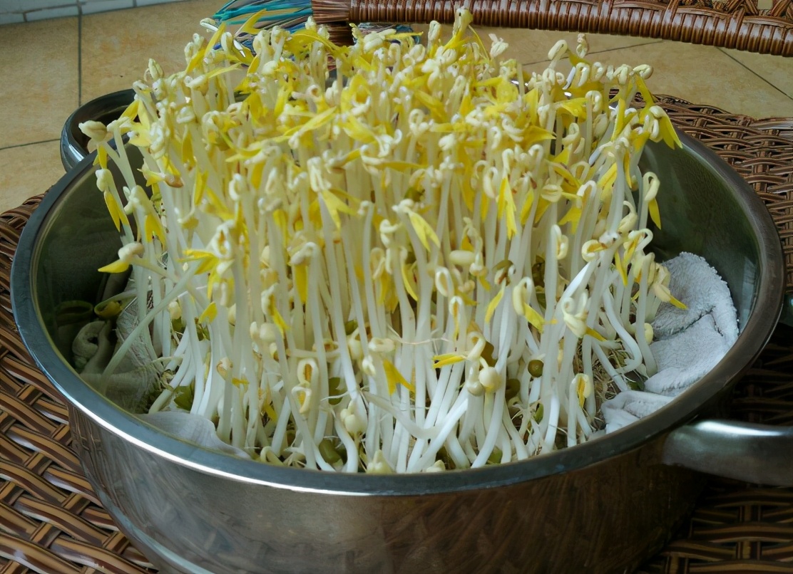 自己在家发豆芽的制作方法,在家发豆芽新做法