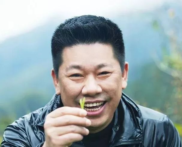 从背背佳到好记星再到小罐茶,从背背佳到小罐茶营销