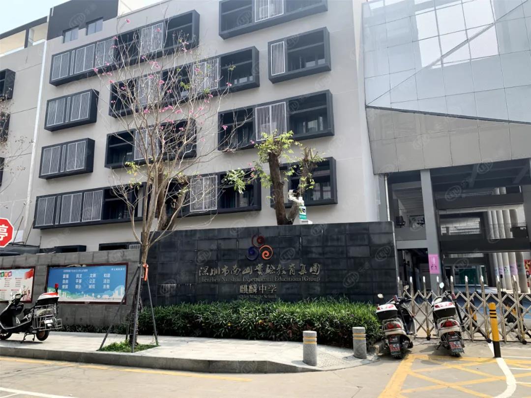 深圳学区房怎么申请学位,深圳学区房最新学位政策