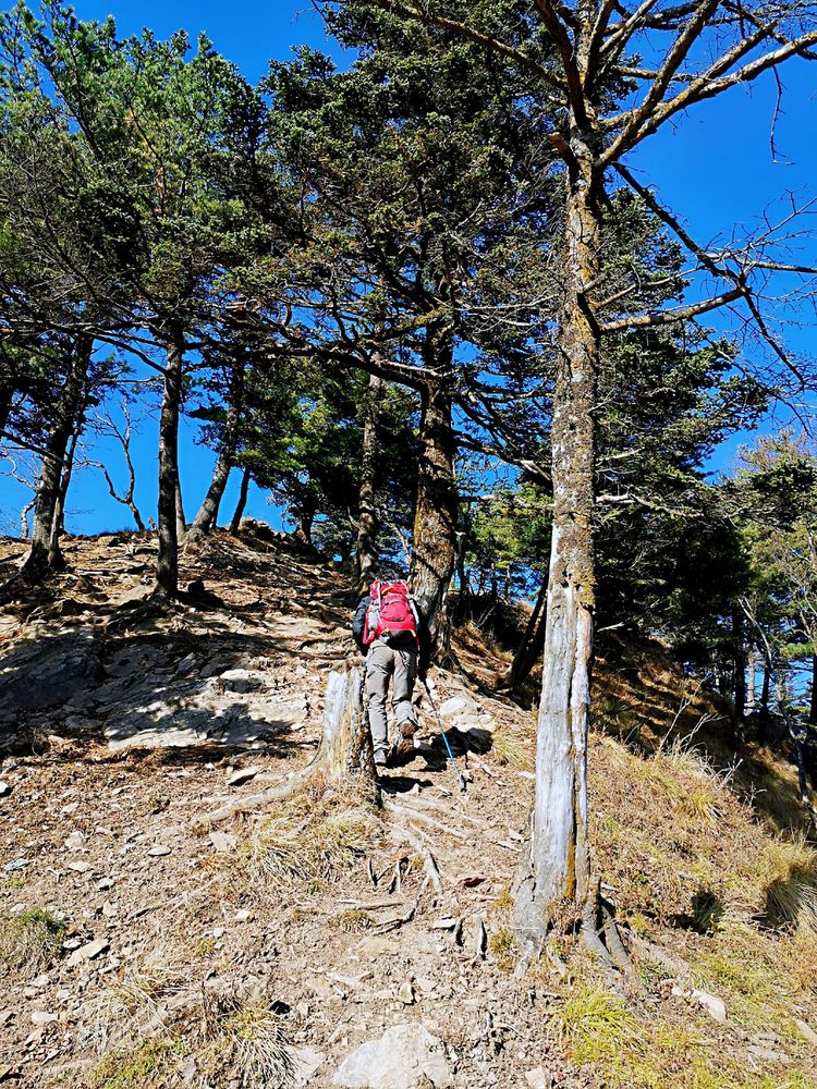 20201101惊悚之行~首阳山大坪梁单日横穿+原返