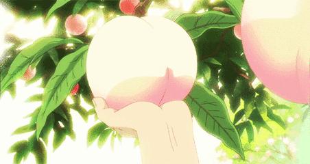 白桃乌龙茶日本lupicia礼盒,lupicia白桃乌龙茶评价