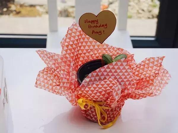 7-12月宝宝蒙氏亲子游戏,100个经典蒙氏小游戏总结