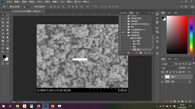 photoshop怎么给扫描电镜做标尺,用photoshop处理电镜图