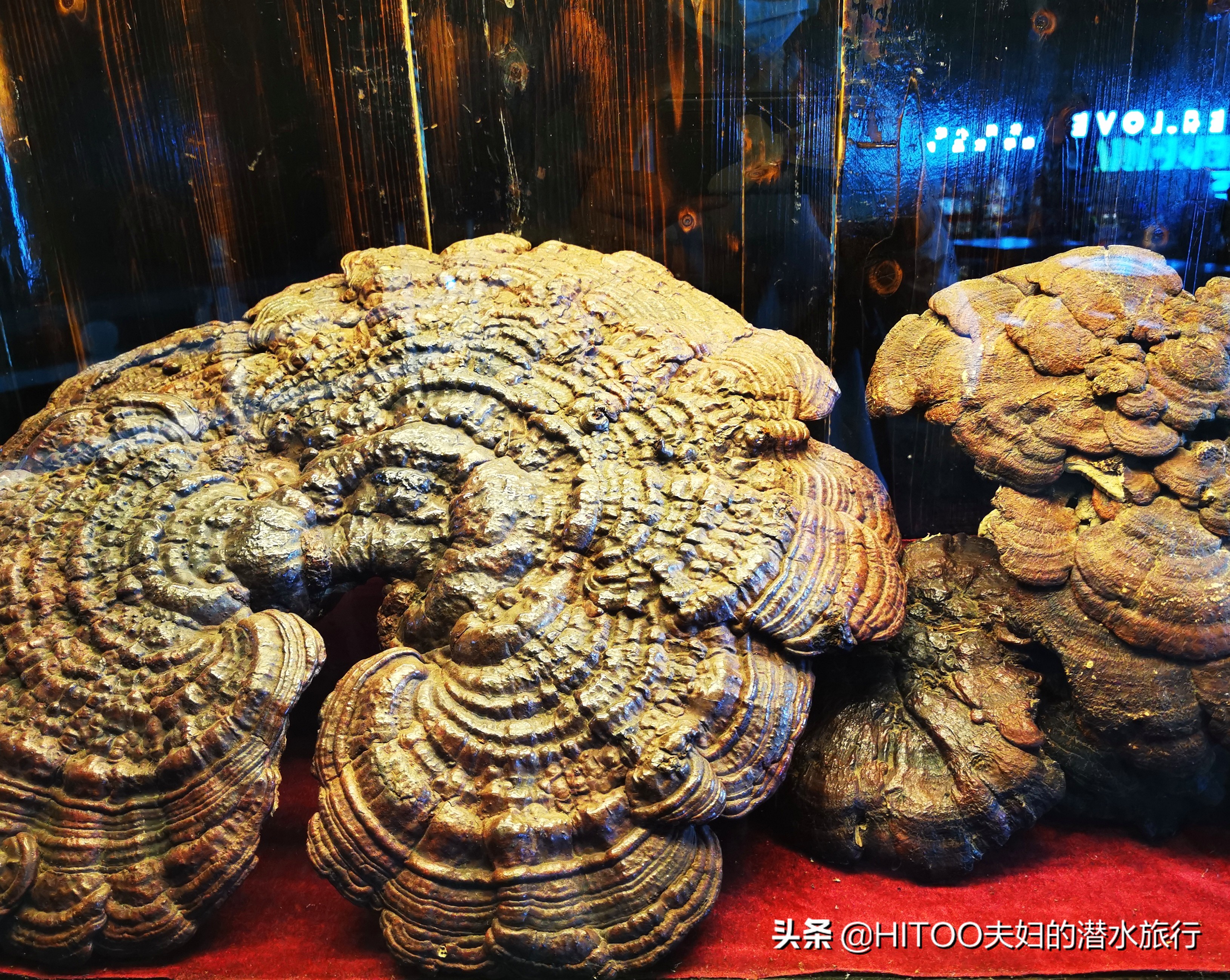 昆明到宜良九乡怎么坐车,昆明九乡旅游攻略一日游最佳路线