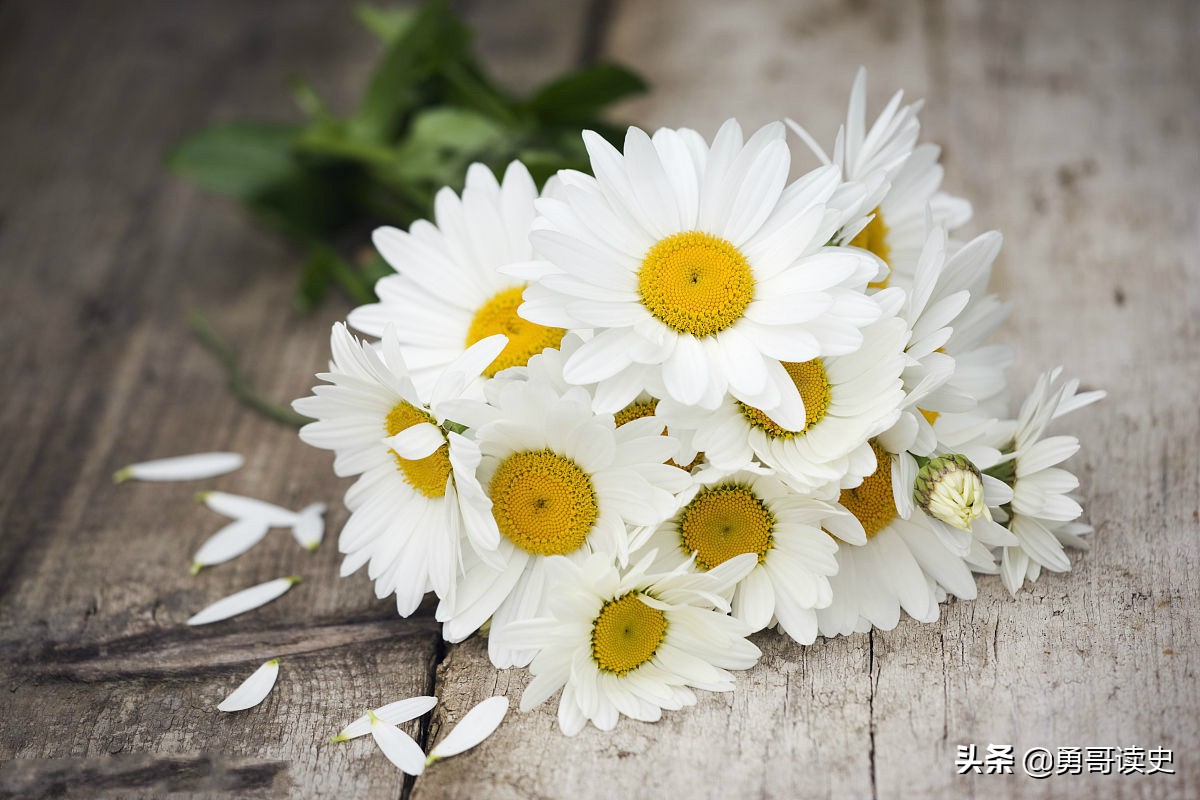 舌尖上的清朝皇宫:慈禧太后对菊花火锅情有独钟