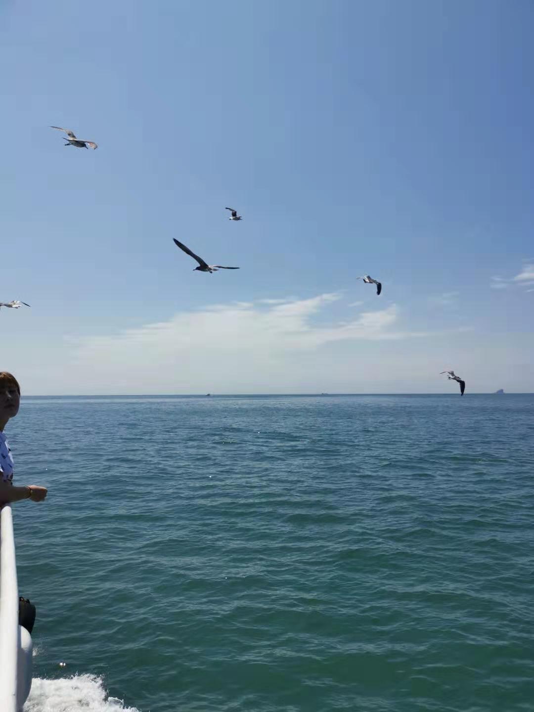 大连老虎滩帆船出海一日游,老虎滩金石滩棒棰岛