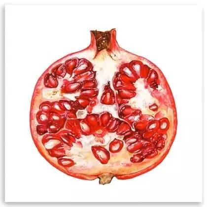 超写实绘画真实吗,超写实的植物绘画