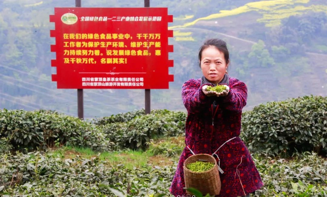 我们争分夺秒加班加点，就是为了奉上今春这第一波蒙顶皇茶！