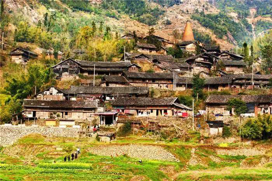 苍南县玉苍山国家森林公园怎么样,温州苍南古镇是什么镇