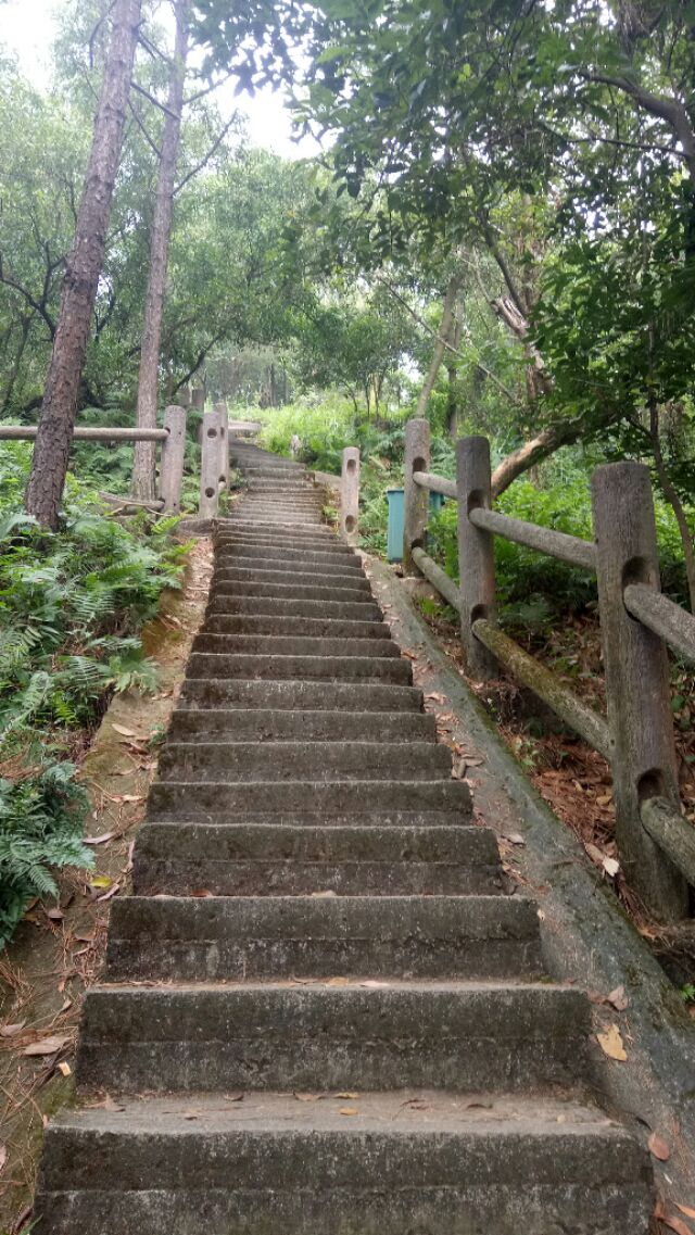 智者乐山仁者爱水如诗,智者乐山仁者爱水视频