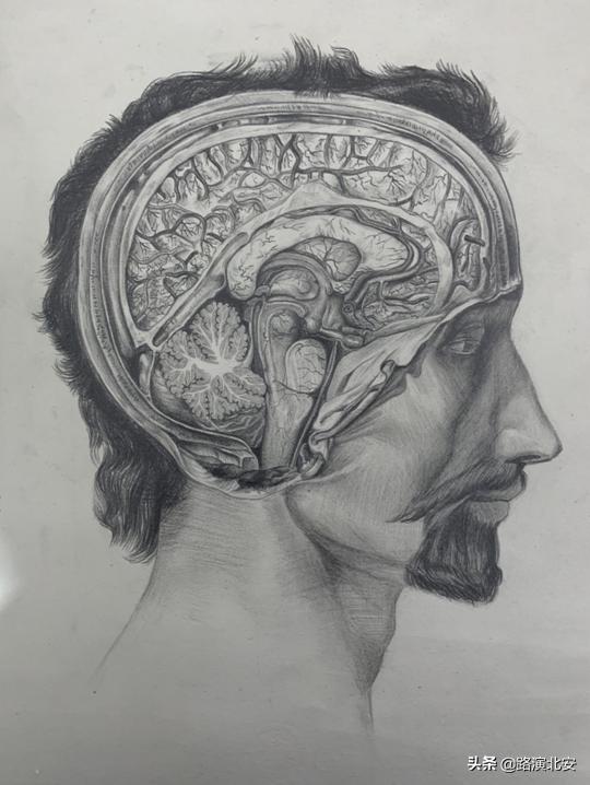 生命的故事绘本视频,生命的故事绘本绘画