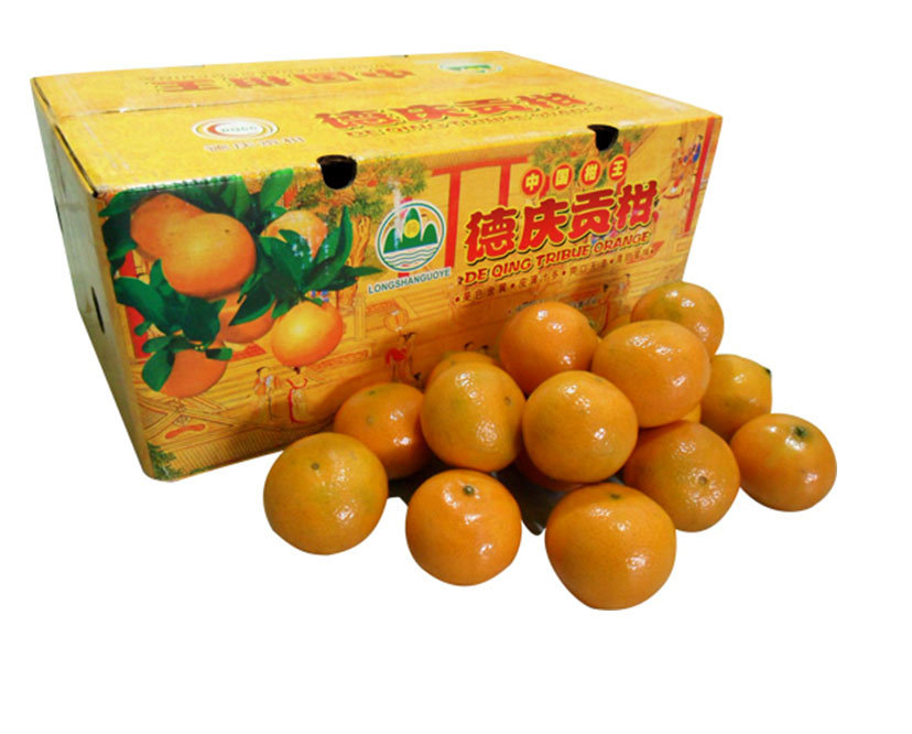 种20亩新会柑一年赚多少钱,回乡创业种植柑橘