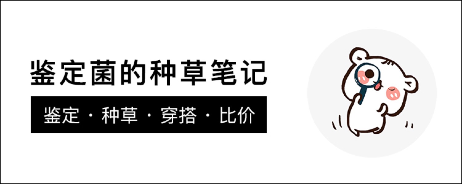 仿品的包包能鉴定出来吗,假的包包鉴定