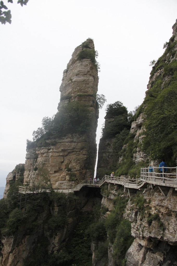 长白山山顶网红咖啡厅,妙峰山玫瑰谷巧遇网红咖啡
