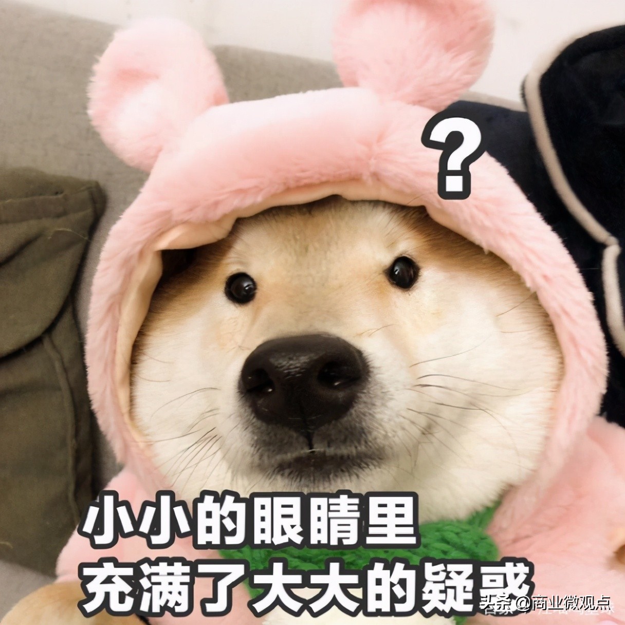 别再说孕妇矫情了,宝妈常见身体问题