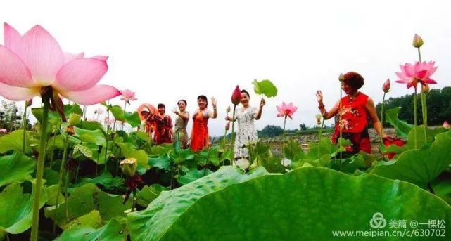 西乡周边景色美的地方,西乡哪里有夜景好看的