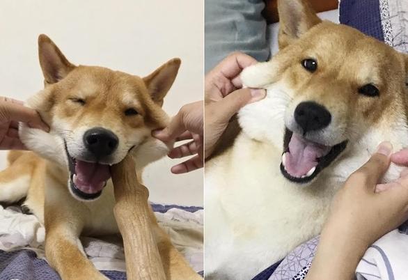 被挑衅最后忍无可忍后续,被挑衅到忍无可忍