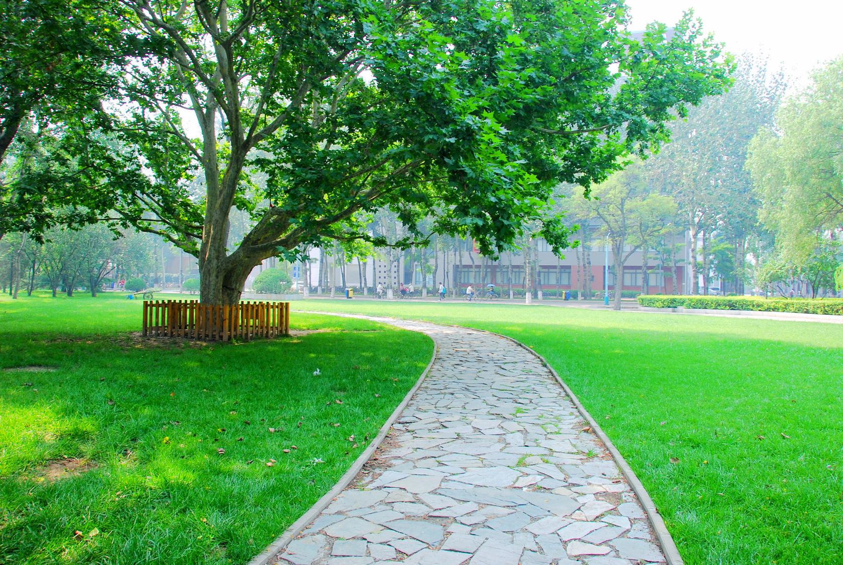 修“三观”,做“美人”____高三*旗国**下的讲话