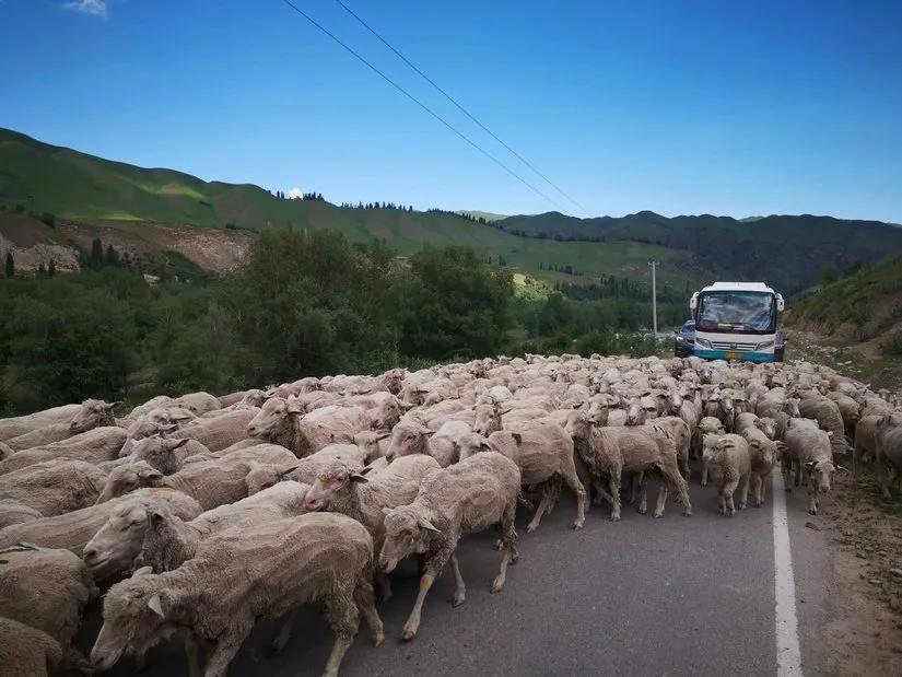 喀拉峻穿越琼库什台几天,喀拉峻穿越琼库什台