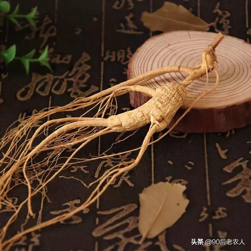 比较适合在农村创业的项目有哪些,在农村创业哪些项目最适合做