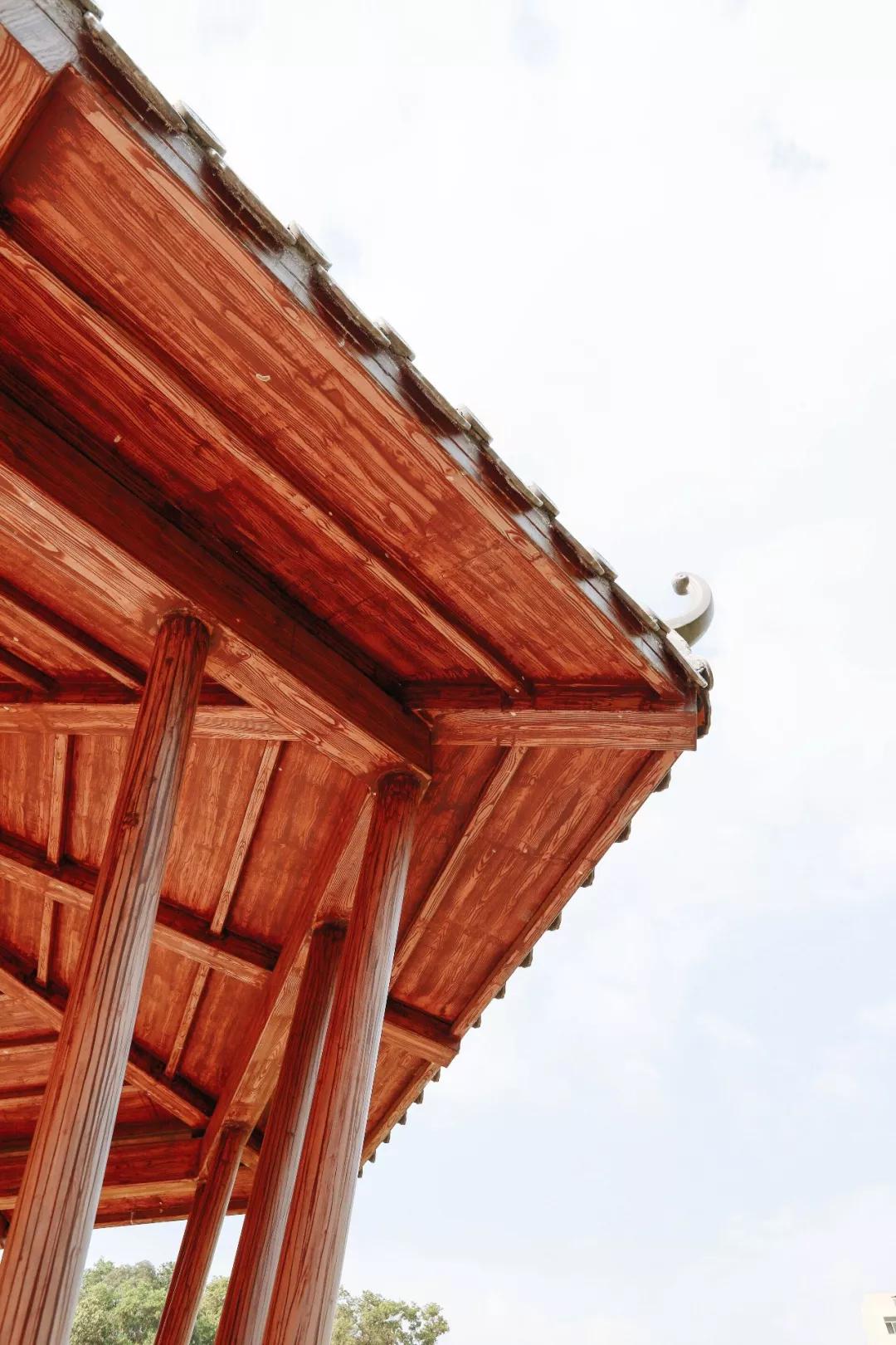 簕竹杜鹃谷公园,好看的杜鹃谷公园